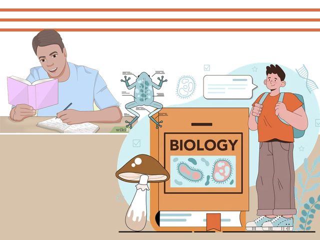 بهترین روش مطالعه درس زیست شناسی